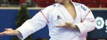 Tokaido Kata Master5